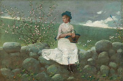 Peach Blossoms Winslow Homer